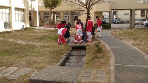 DSCPDC_0003_BURST20191221111233362_COVER