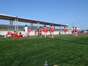 スプリングフェスティバル