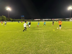 6F8A3B2F-9A7A-4B43-94F8-F21CE7473610